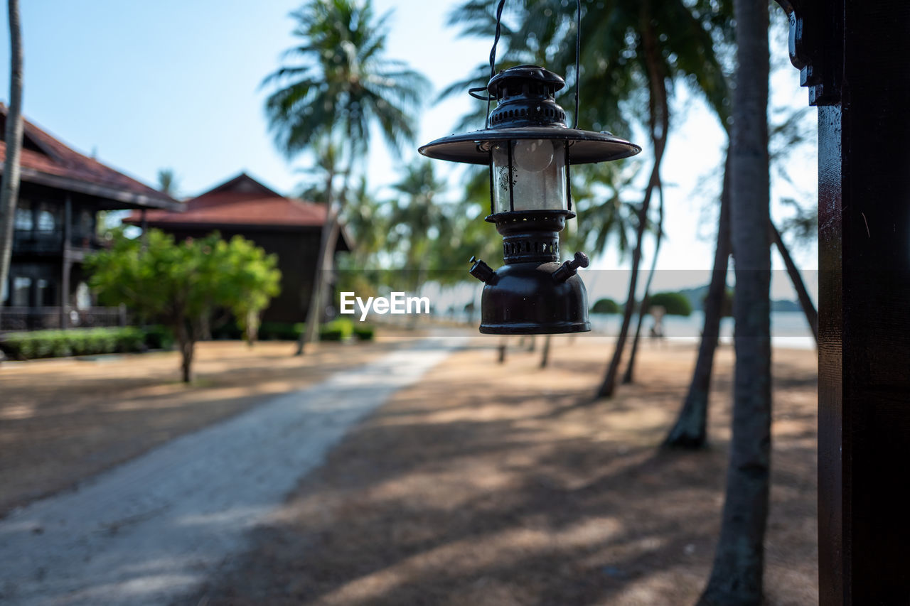 STREET LIGHT AND PALM TREE BY BUILDING