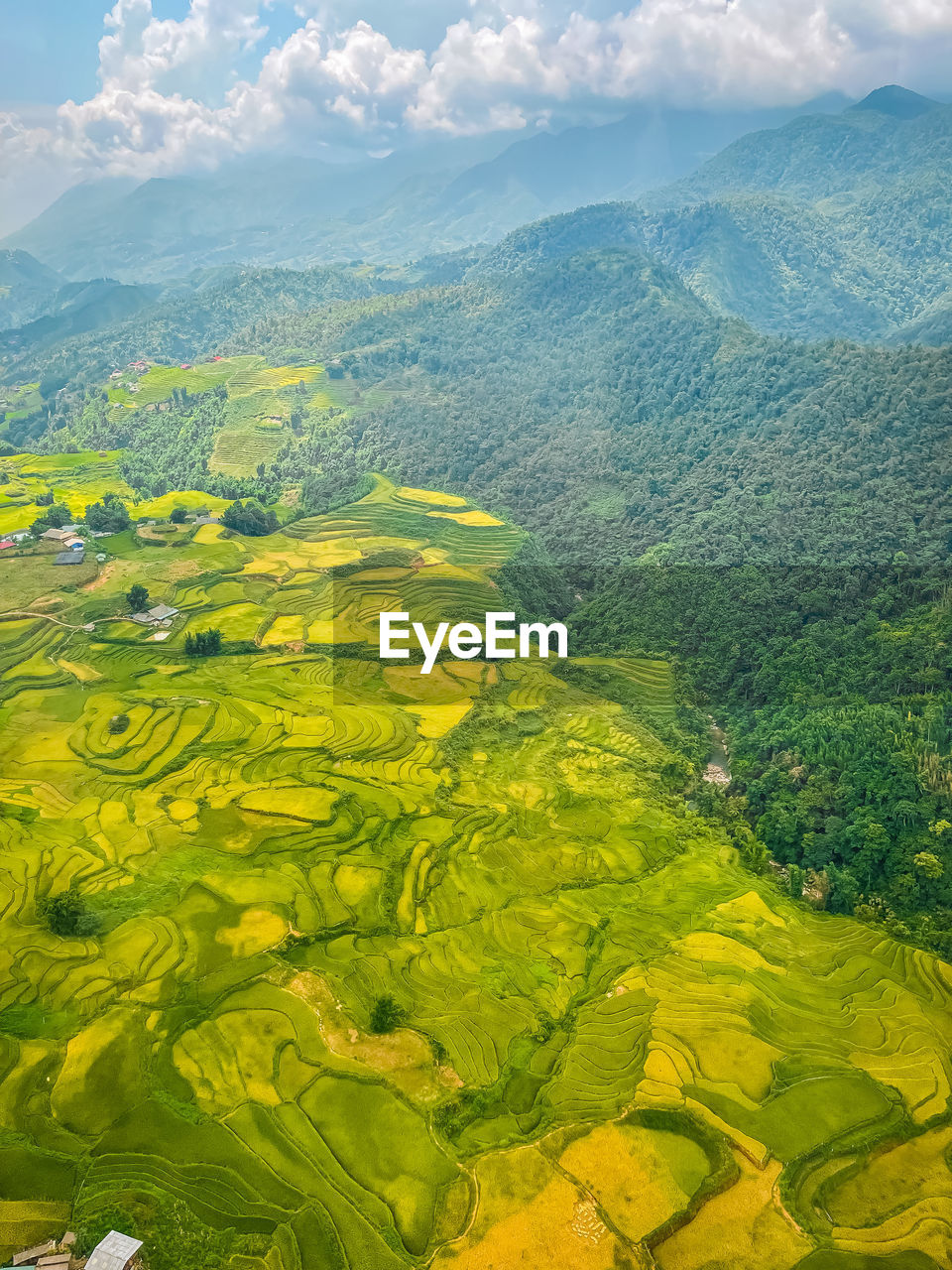 Muong hoa valley - terrace fields