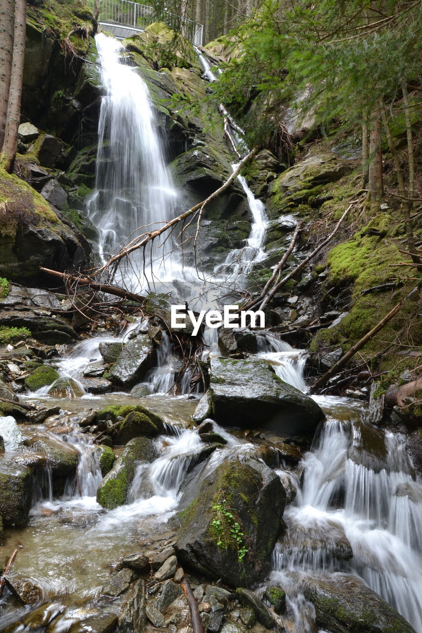 View of waterfall in forest