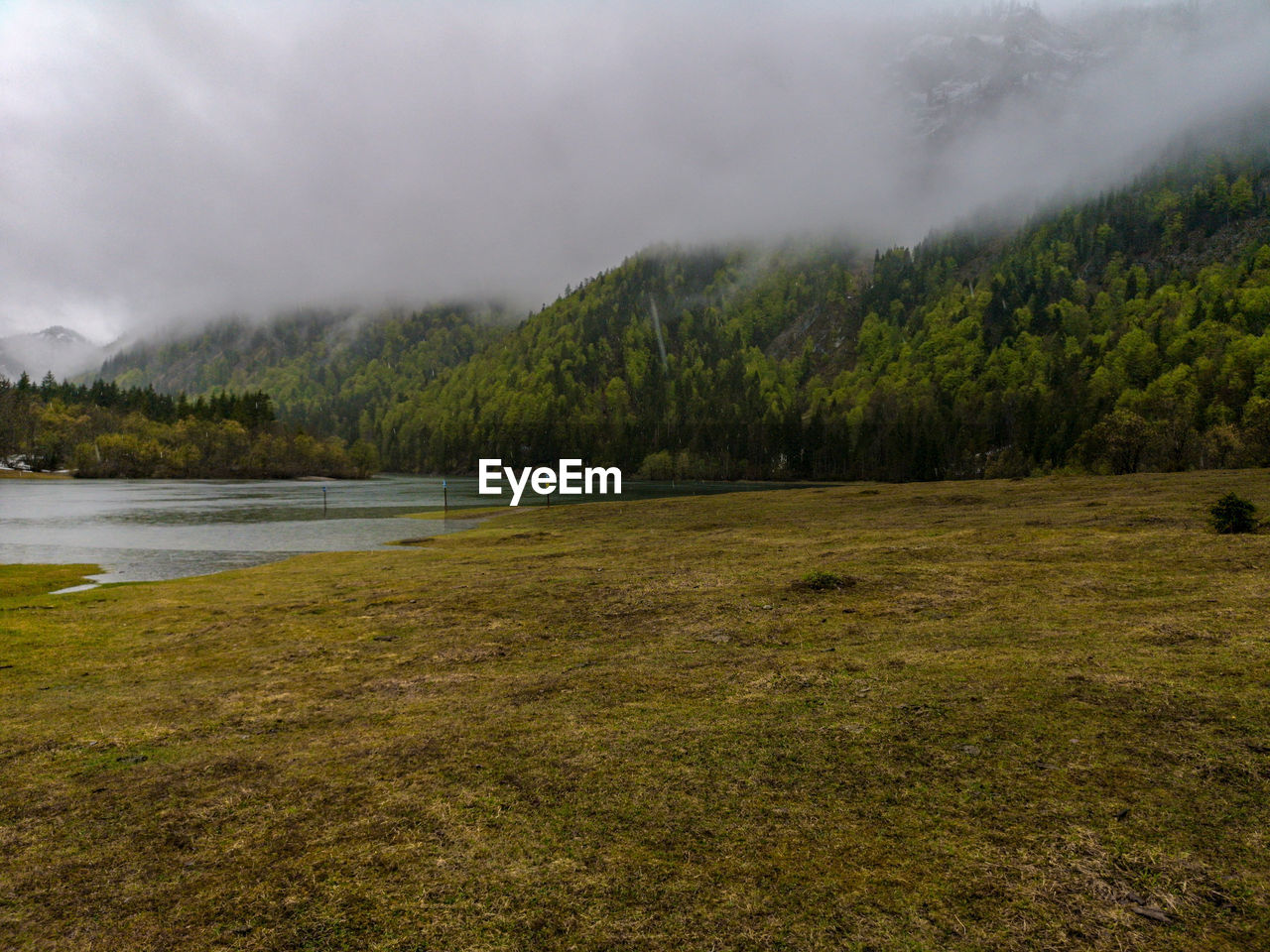 Rainy day in the bavarian alps near mittersee, seegatterl 