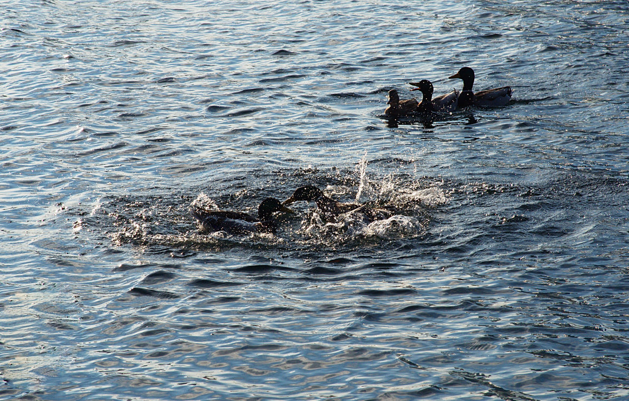 VIEW OF WATER IN WATER