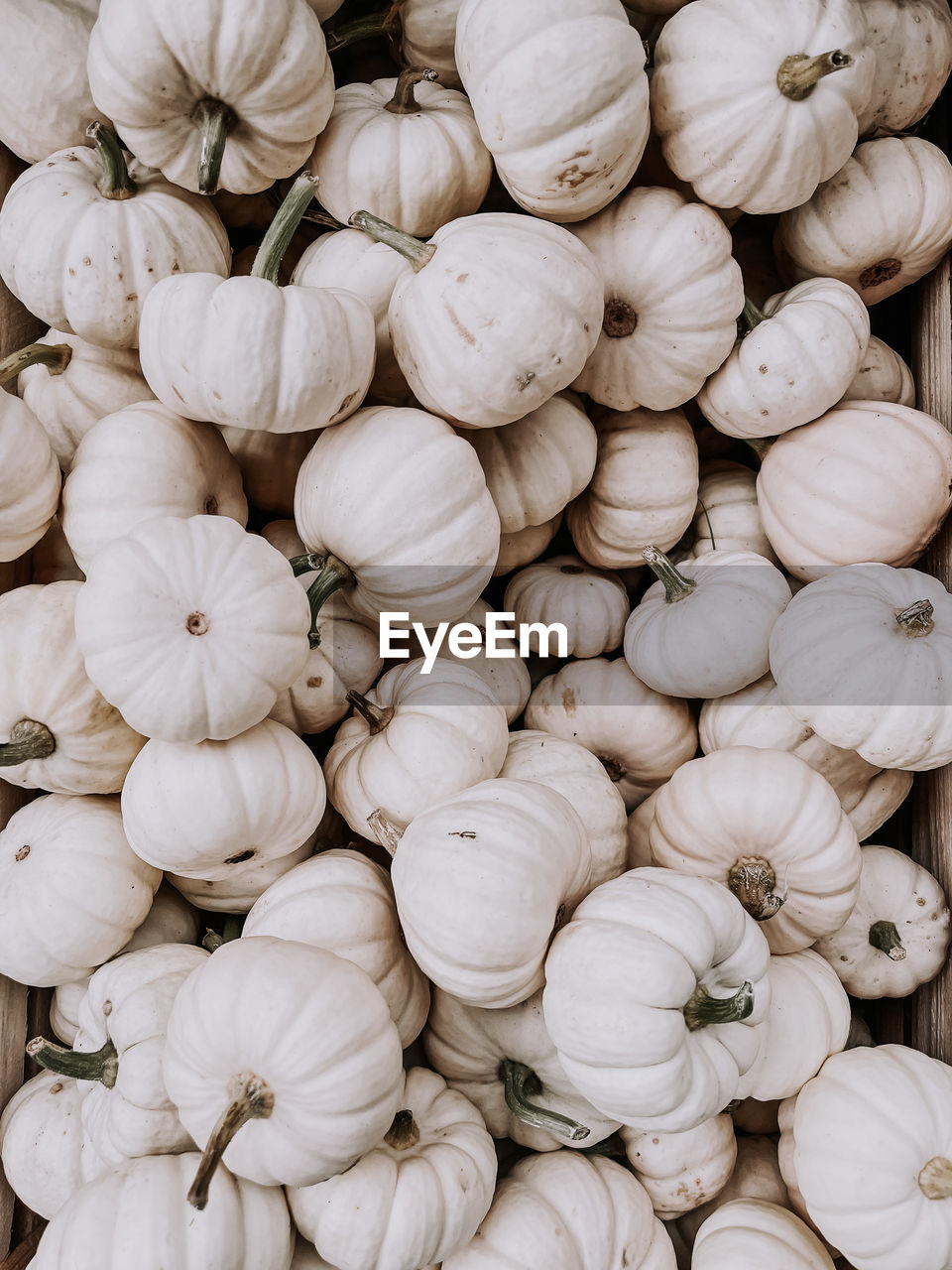 FULL FRAME SHOT OF ONIONS FOR SALE IN MARKET