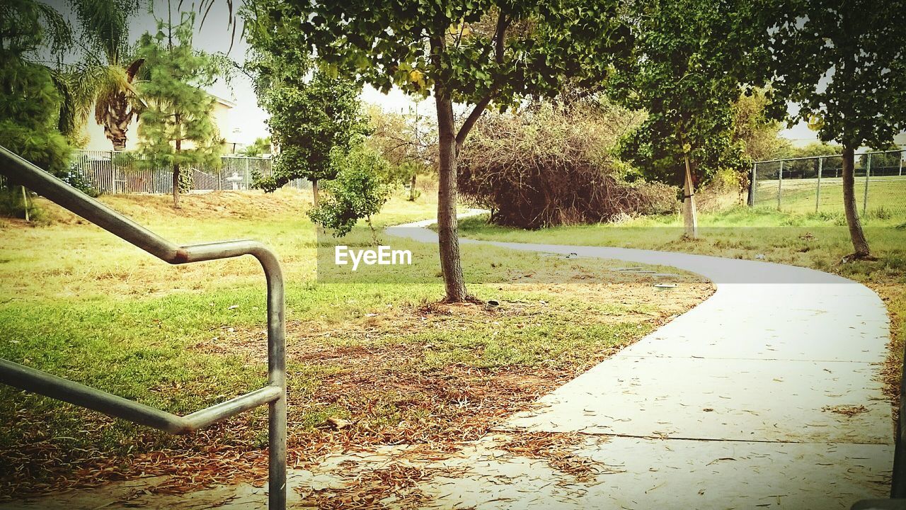 PARK BENCH IN PARK