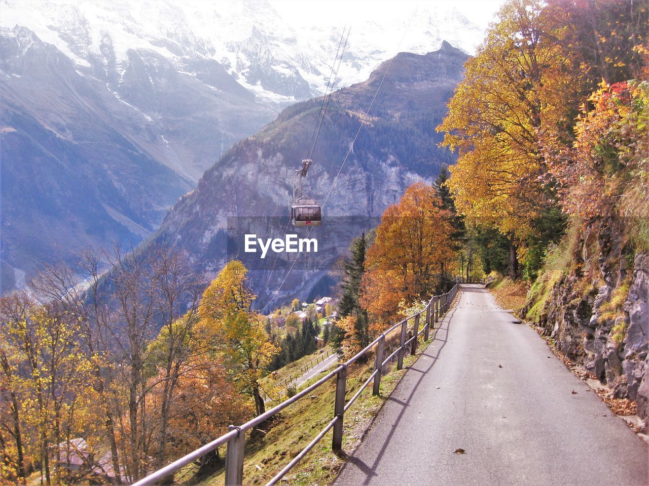 Road amidst trees during autumn at  gimmelwald, switzerland