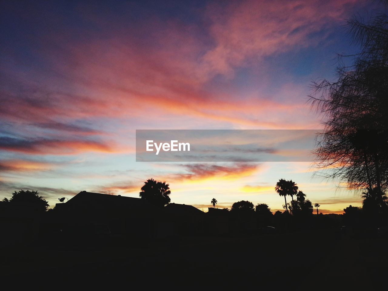 Low angle view of silhouette trees and houses against cloudy orange sky during sunset