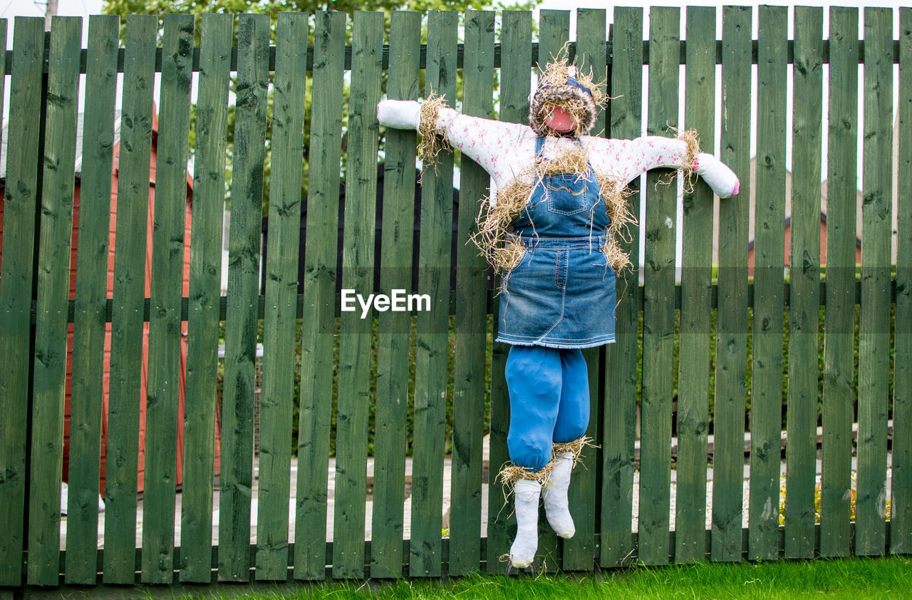 Scarecrow hanging on wooden fence