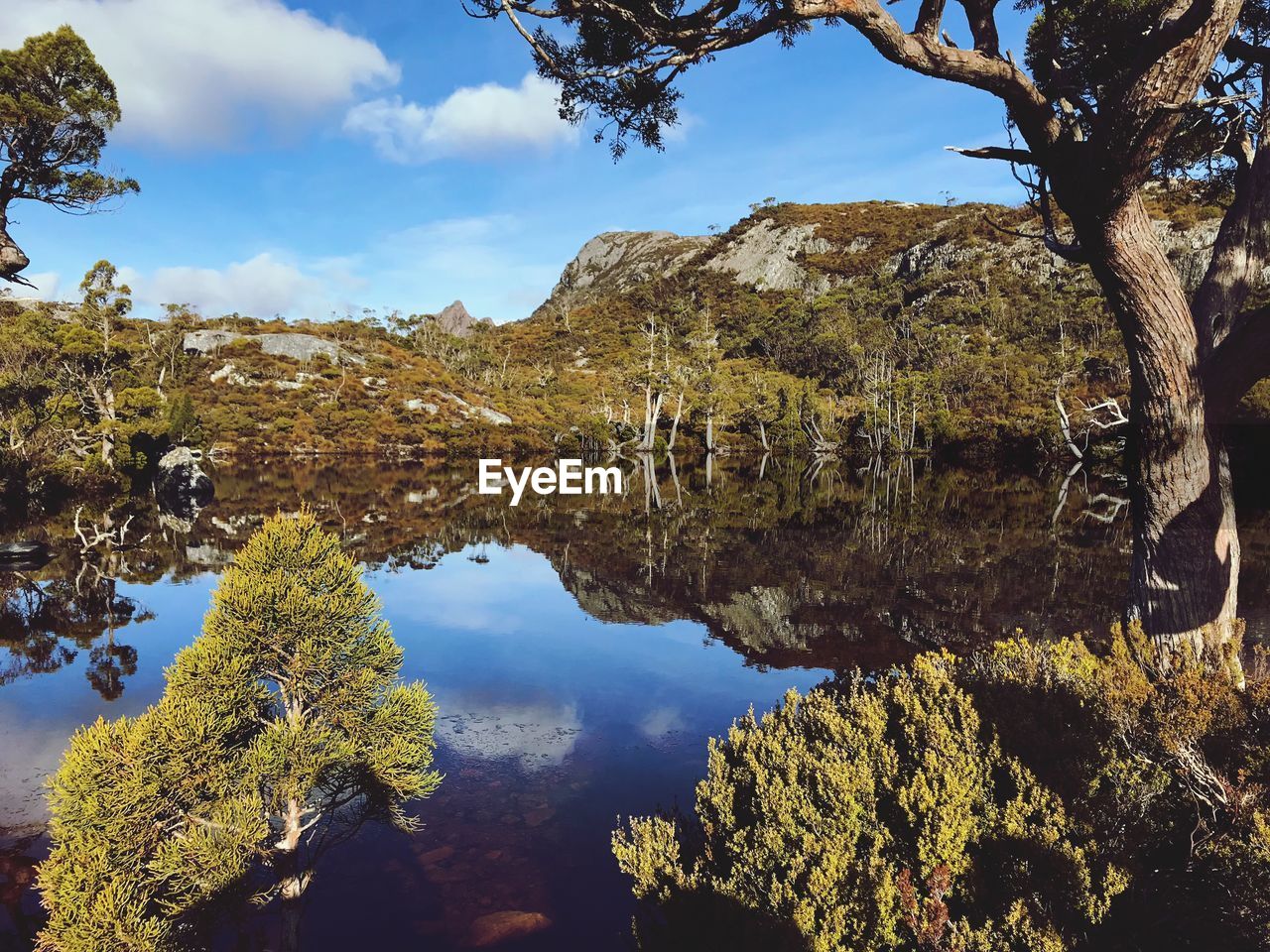 Scenic view of lake by trees against sky