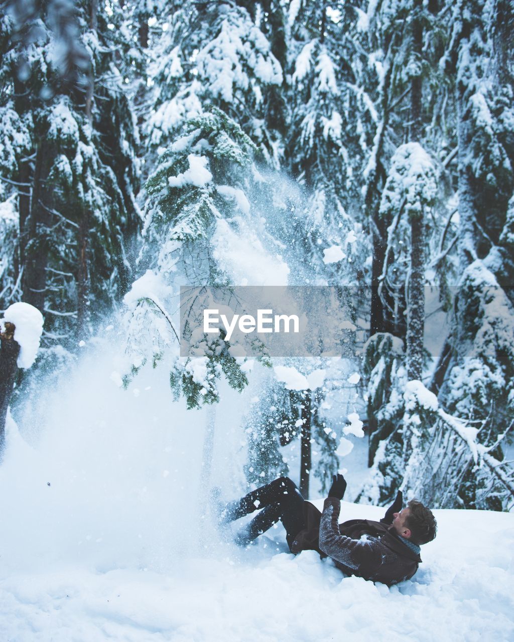 LOW ANGLE VIEW OF SNOW COVERED TREES IN WINTER