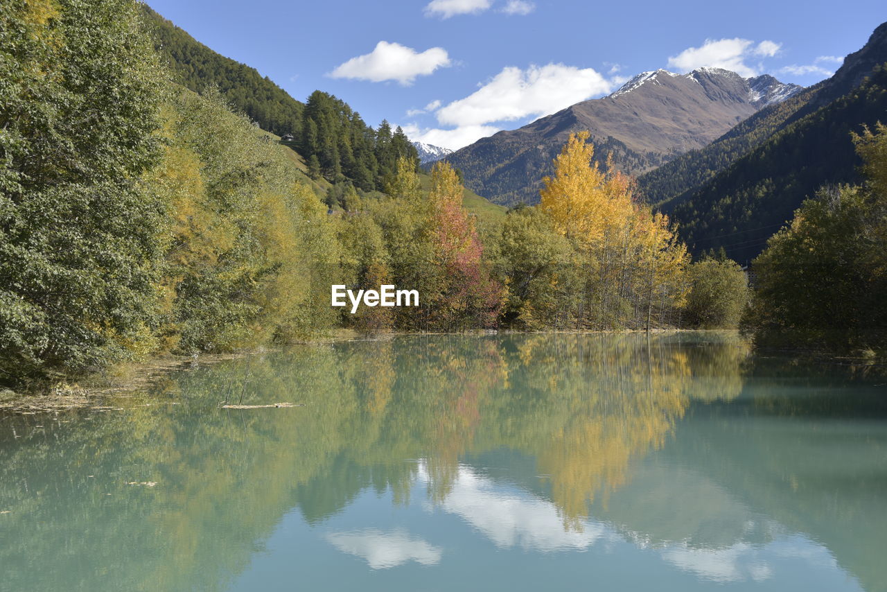 REFLECTION OF TREES IN LAKE AGAINST SKY