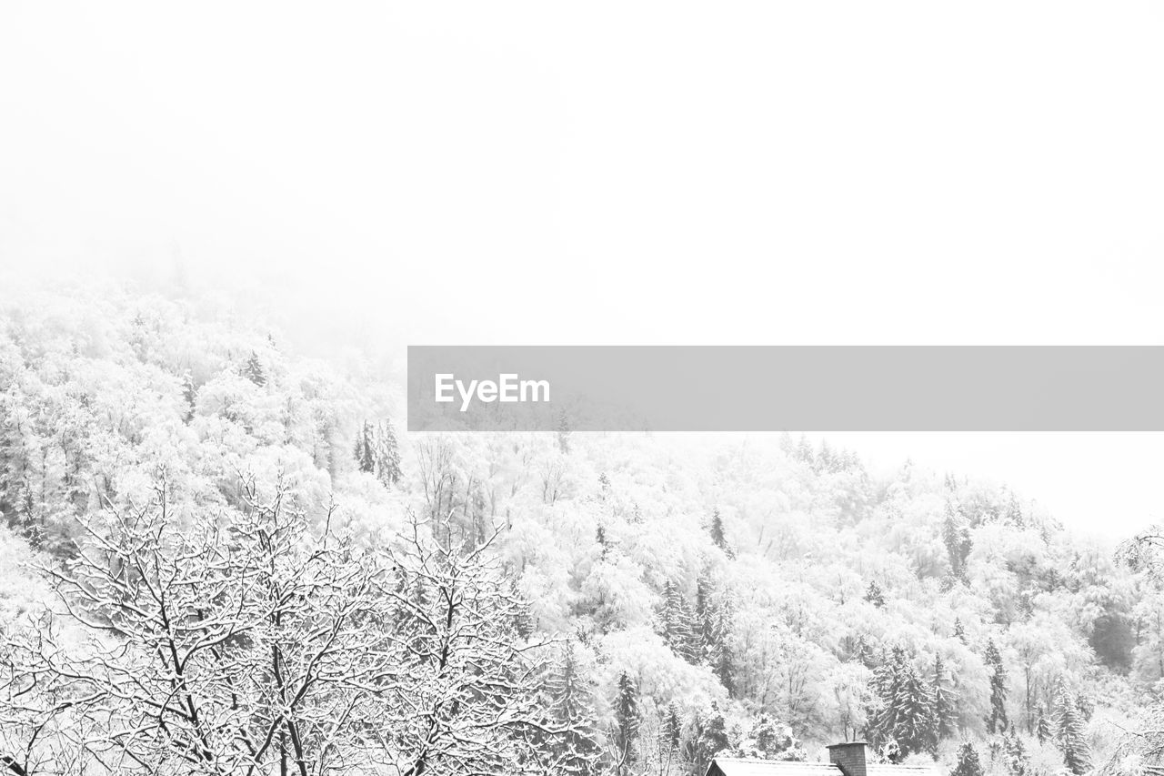 SNOW COVERED LANDSCAPE AGAINST CLEAR SKY