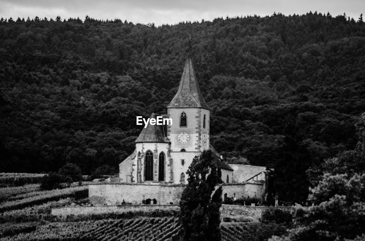 VIEW OF CHURCH WITH TREES IN BACKGROUND