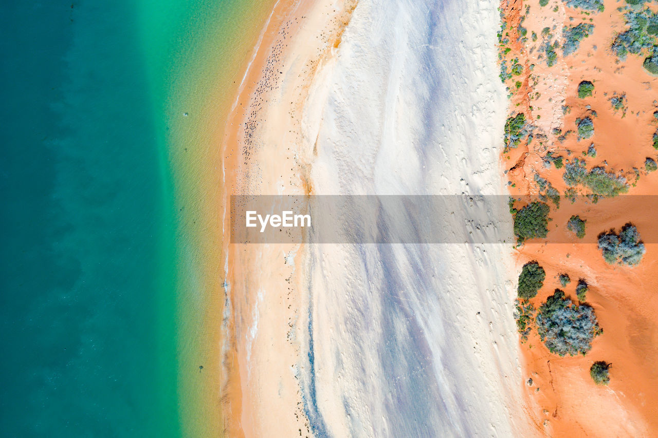 Aerial view of beach