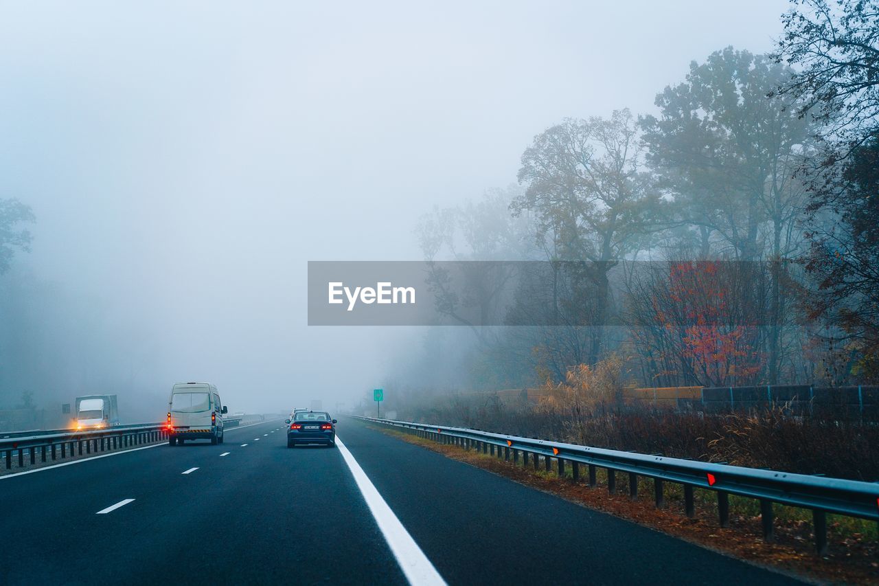 Cars on highway against trees in a foggy autumn morning