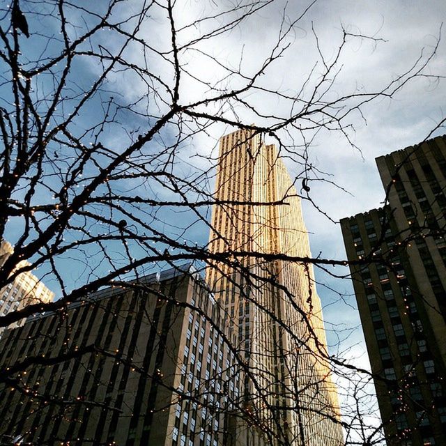LOW ANGLE VIEW OF MODERN BUILDINGS