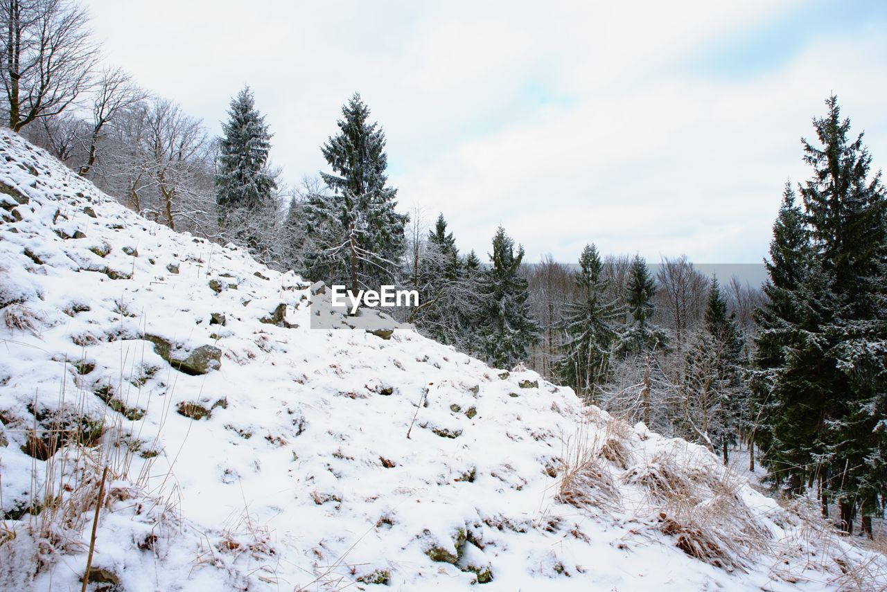 View from mountain top in winter with snow and stones. misty forest and melancholy mood in landscape