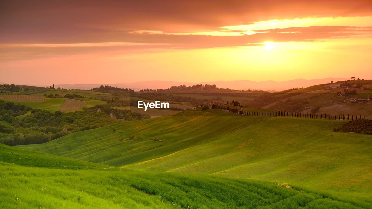 Scenic view of agricultural field against sky during sunset