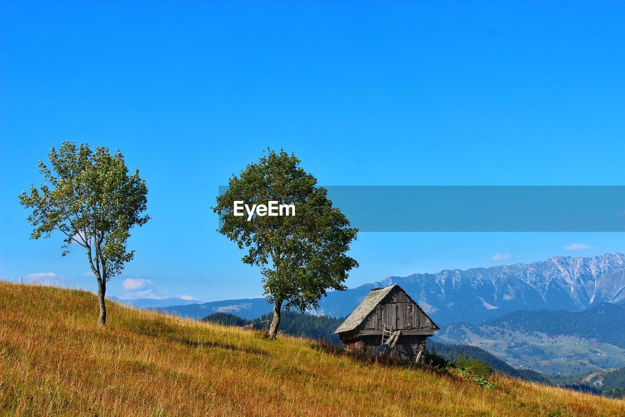 Scenic view of field against blue sky