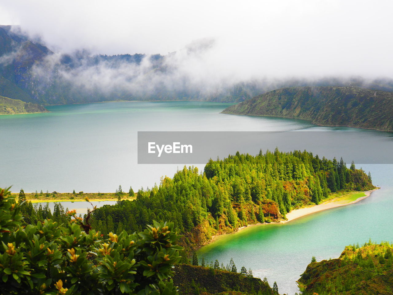 Scenic view of lake and trees against sky