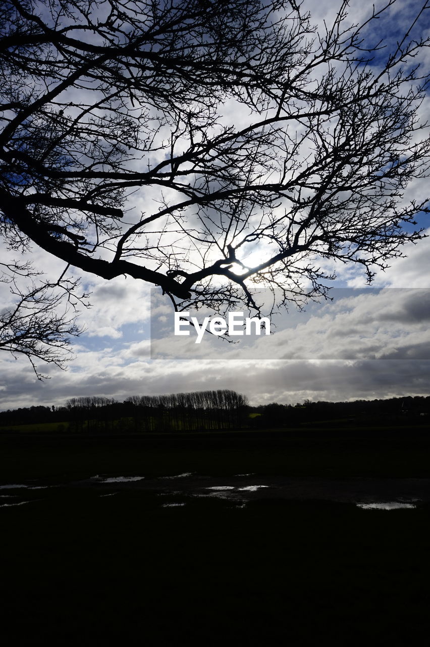 BARE TREES ON LANDSCAPE AGAINST SKY