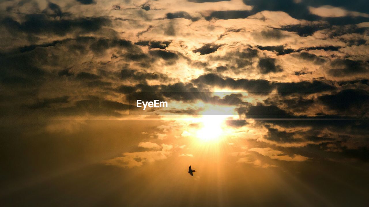 Silhouette bird flying against cloudy sky during sunset