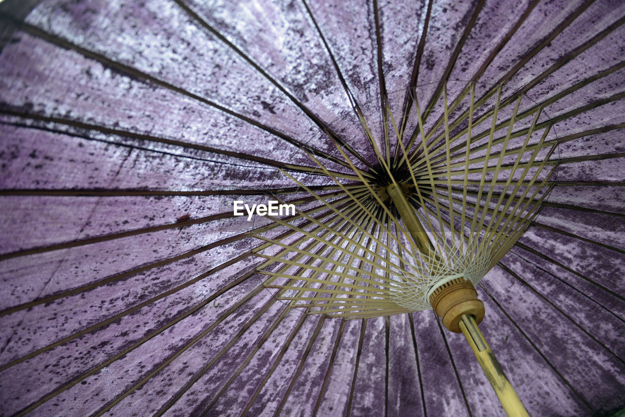 Low angle view of purple parasols