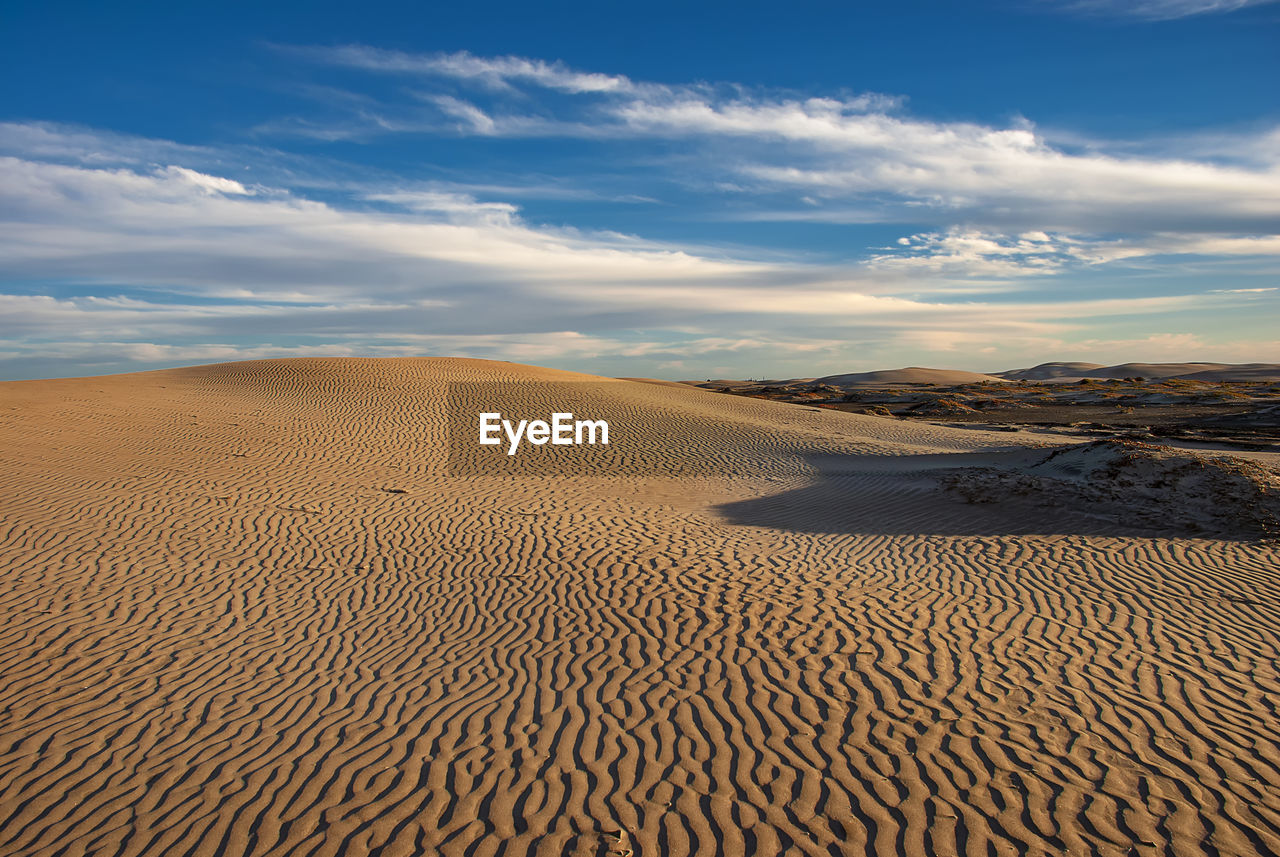 The late afternoon sun casts shadows across the sand dunes at adolfo lopez mateos in baja california