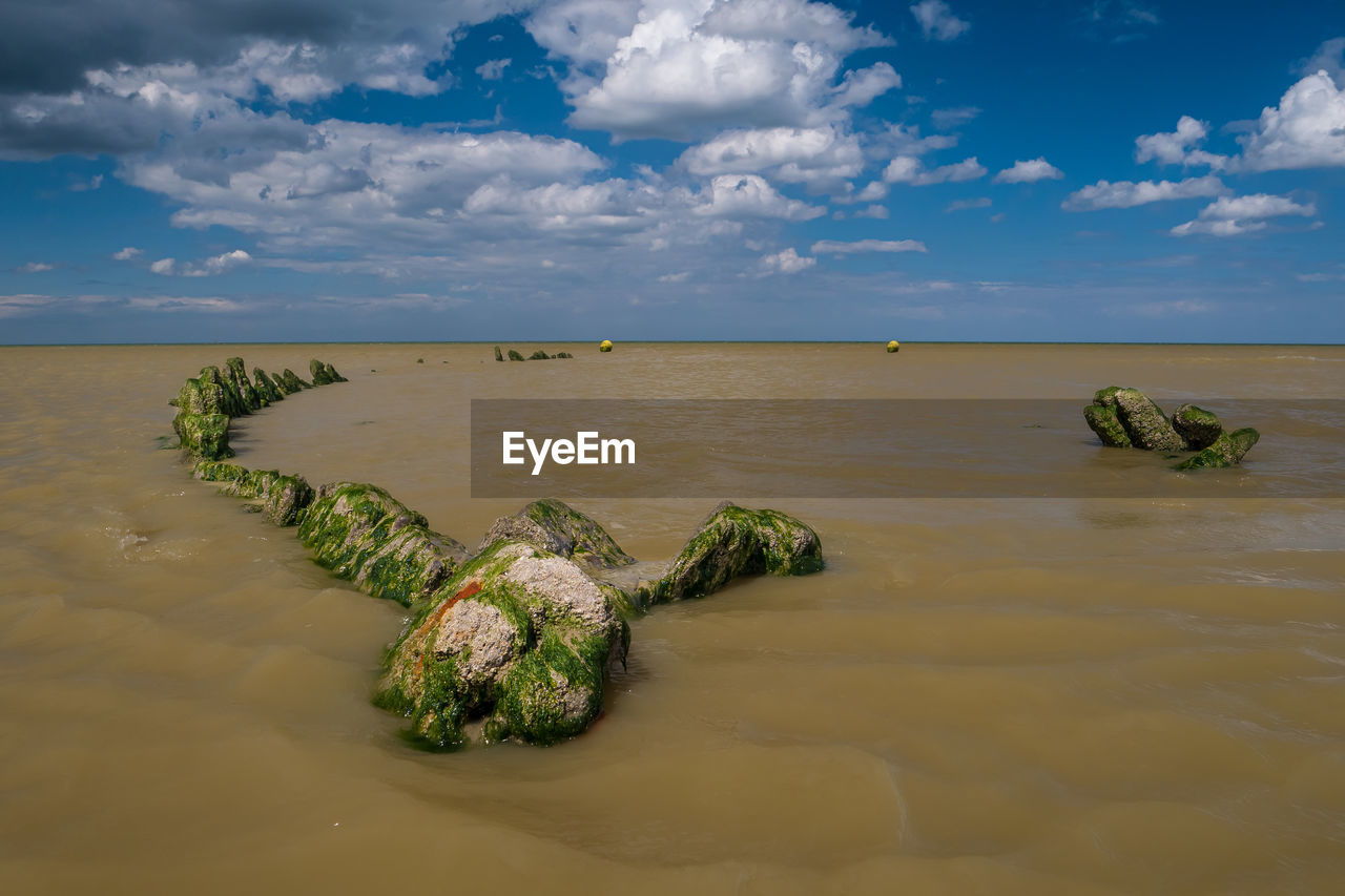 World war shipwreck covered with algae at a beach in northern france