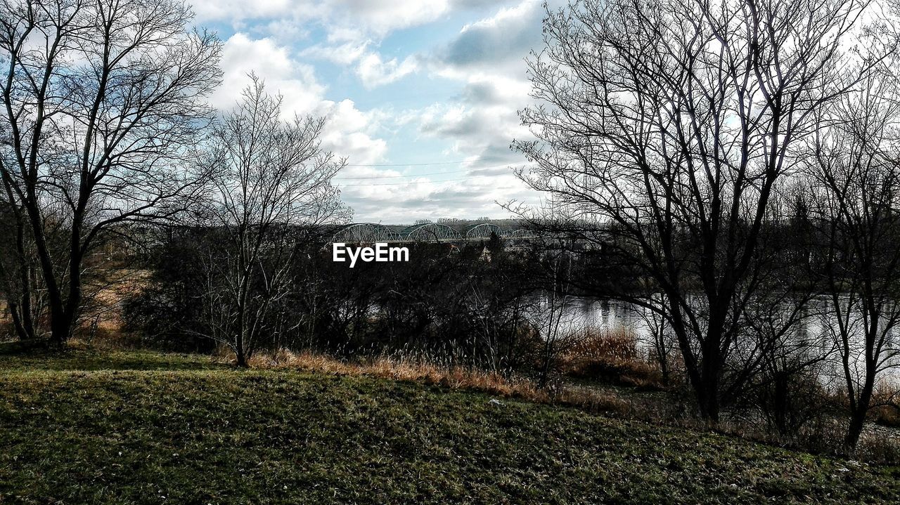 BARE TREES ON GRASSY FIELD AGAINST CLOUDY SKY