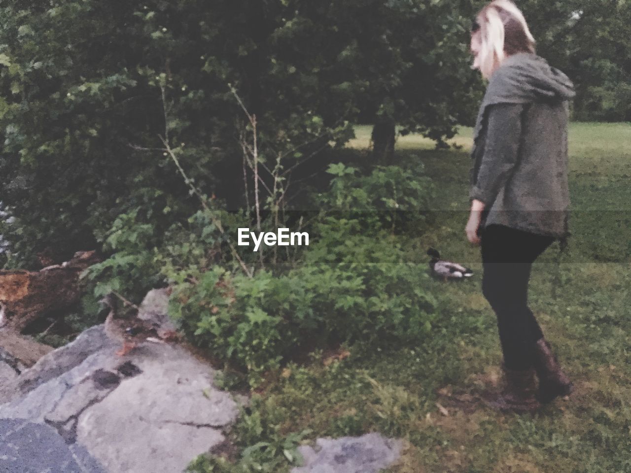 WOMAN STANDING ON FOOTPATH IN FOREST