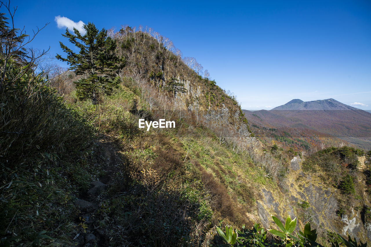 Scenic view of landscape against clear blue sky