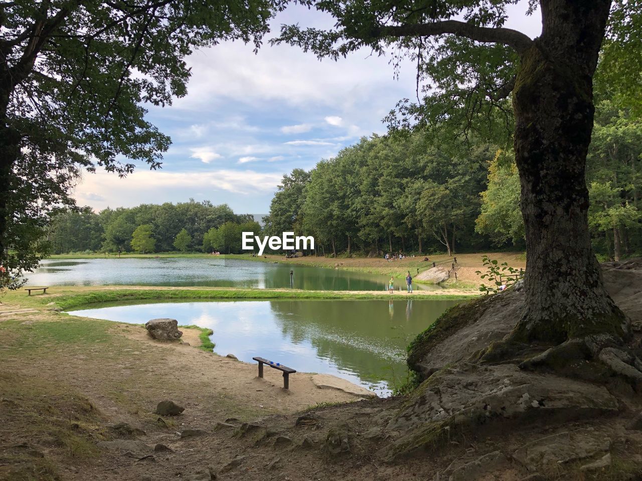 SCENIC VIEW OF LAKE AGAINST TREES