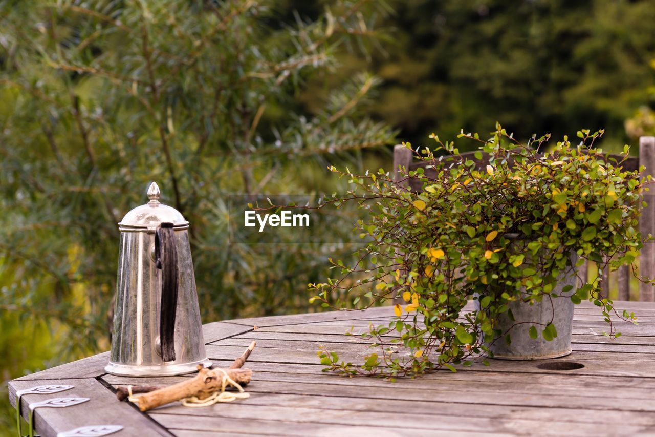 Kettle by stick and potted plant on wooden table