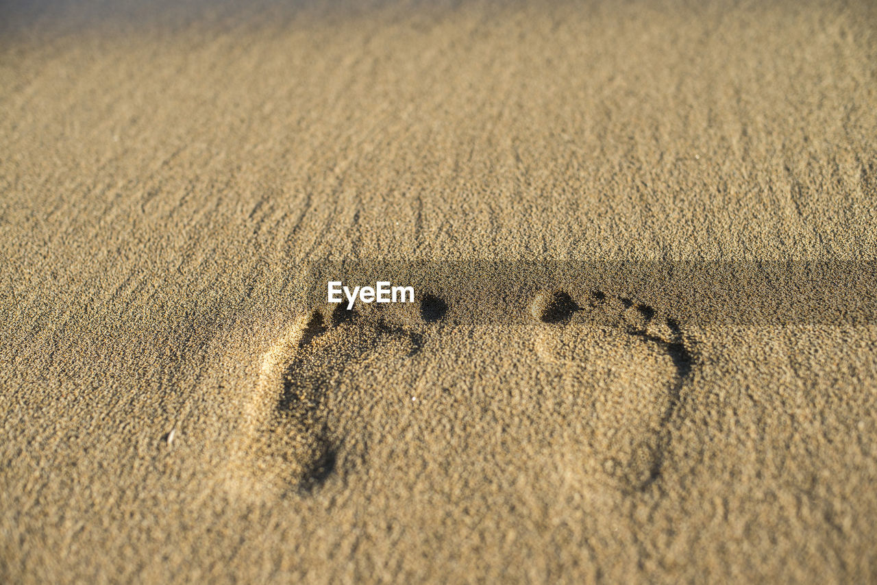 CLOSE-UP OF FOOTPRINTS ON SAND AT BEACH