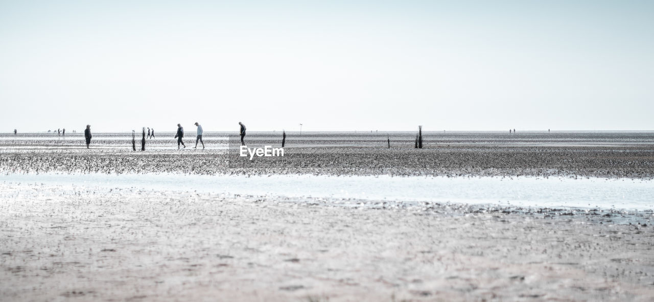 Scenic view of people on beach against clear sky