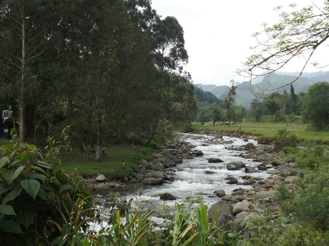 Scenic view of stream passing through rocks