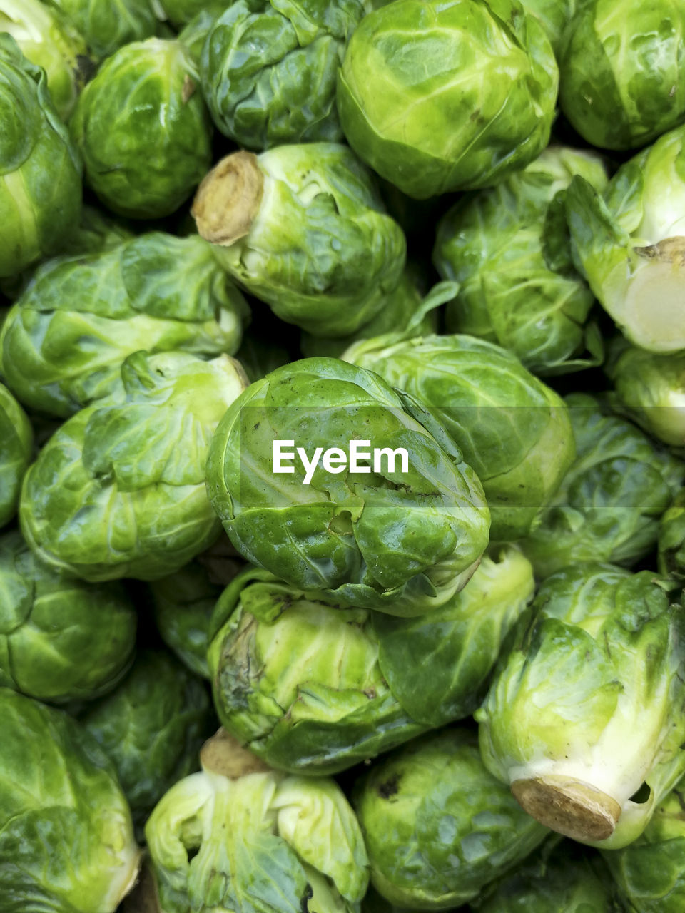 Full frame shot of brussels sprouts