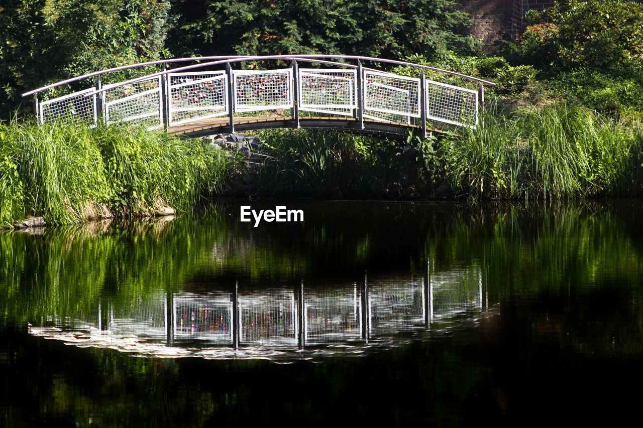 Scenic view of lake in forest