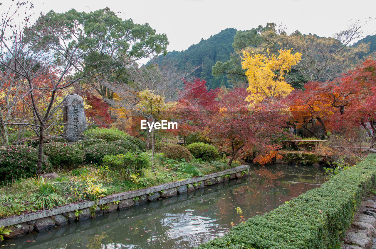 Scenic view of river by trees during autumn