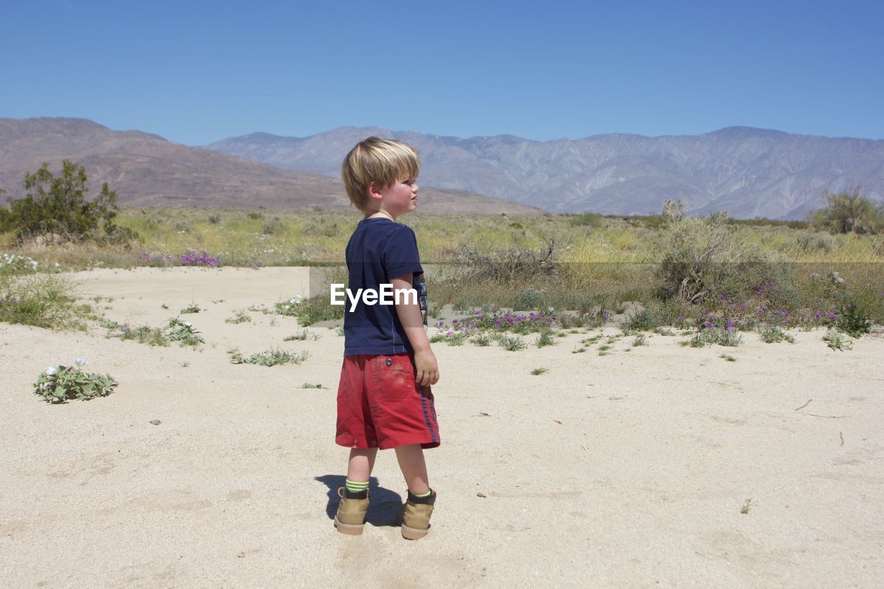 Rear view of boy standing on sand against clear blue sky during sunny day