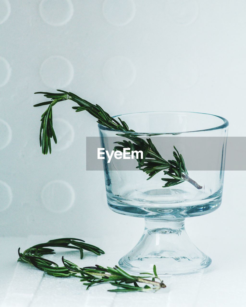 Plant in wineglass on table