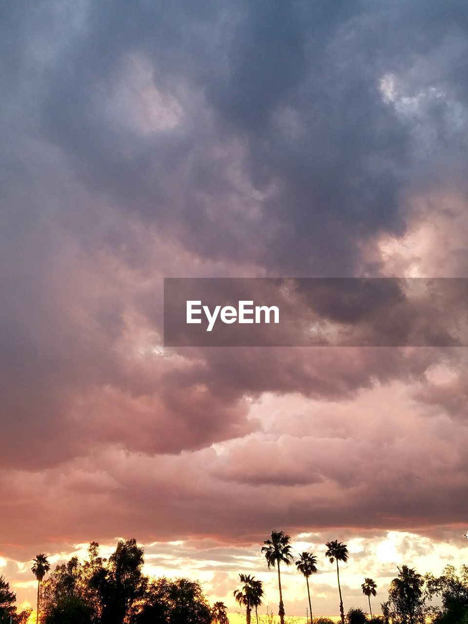 LOW ANGLE VIEW OF SILHOUETTE TREES AGAINST SUNSET SKY