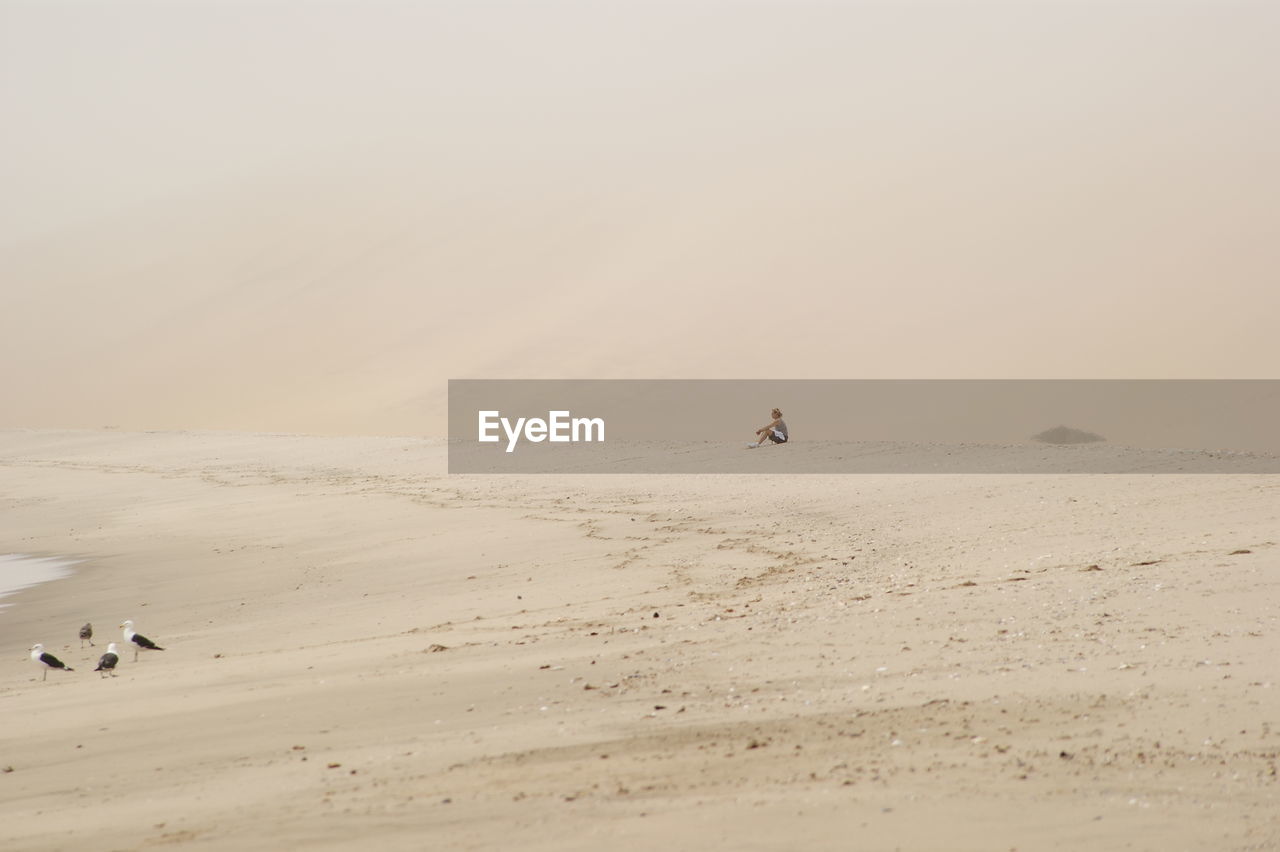 Scenic view of beach at namib desert