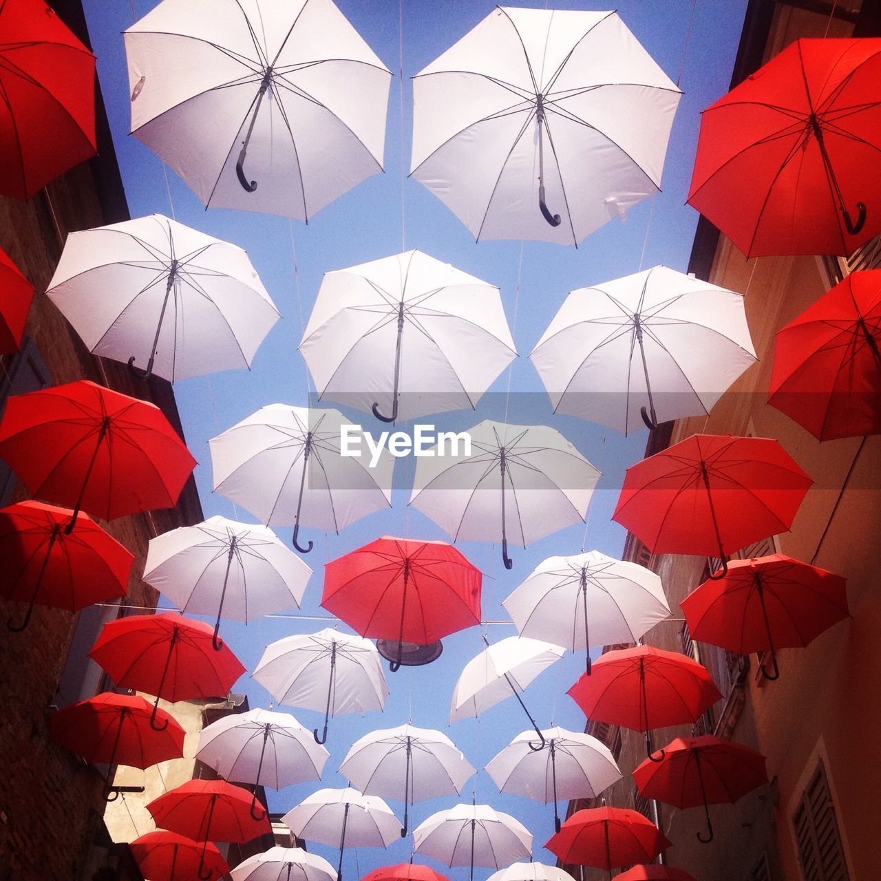 Full frame shot of umbrella