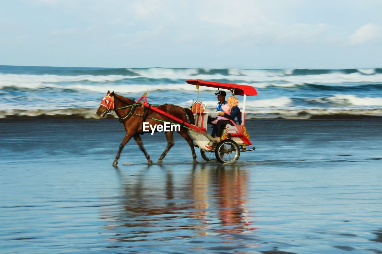People riding in horse cart at beach