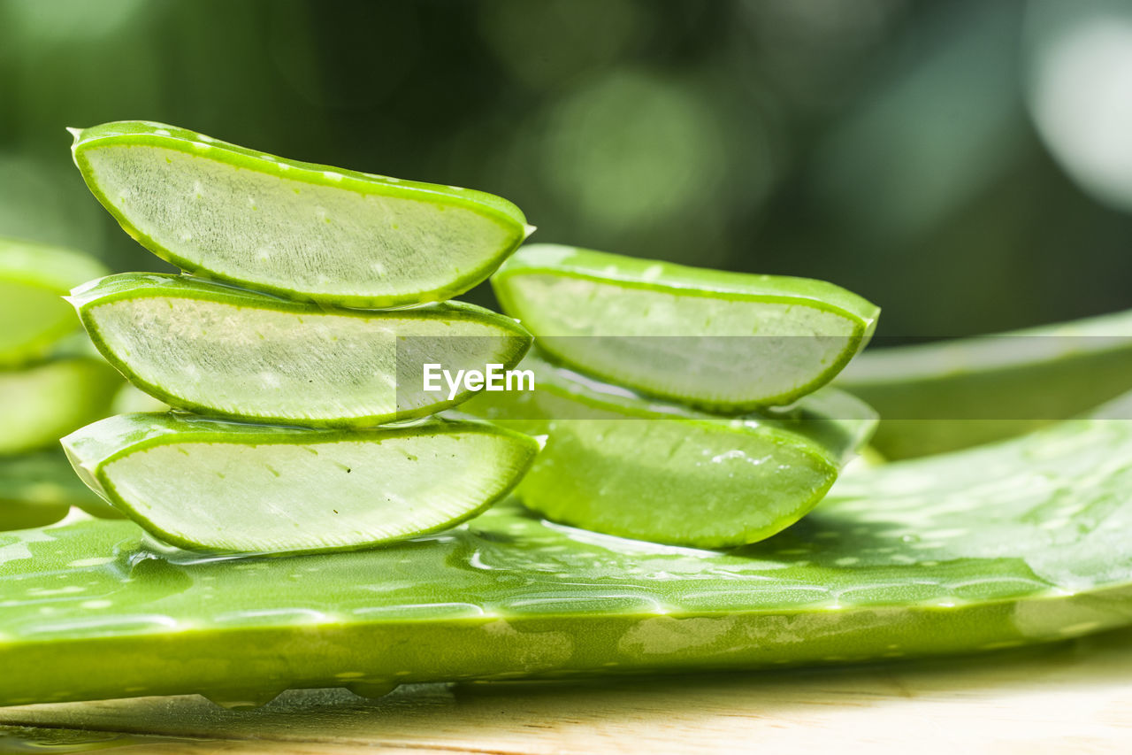 CLOSE-UP OF GREEN LEAVES WITH LEMON