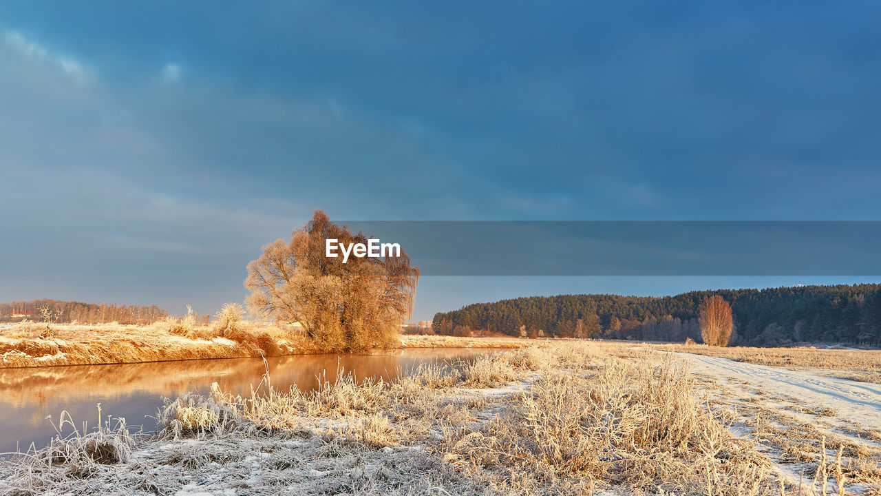 Dawn on winter riverbank. frost on grass, cane. snowy rural road. january forest river sunrise. cold