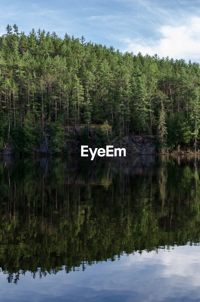 Reflection of trees in lake against sky
