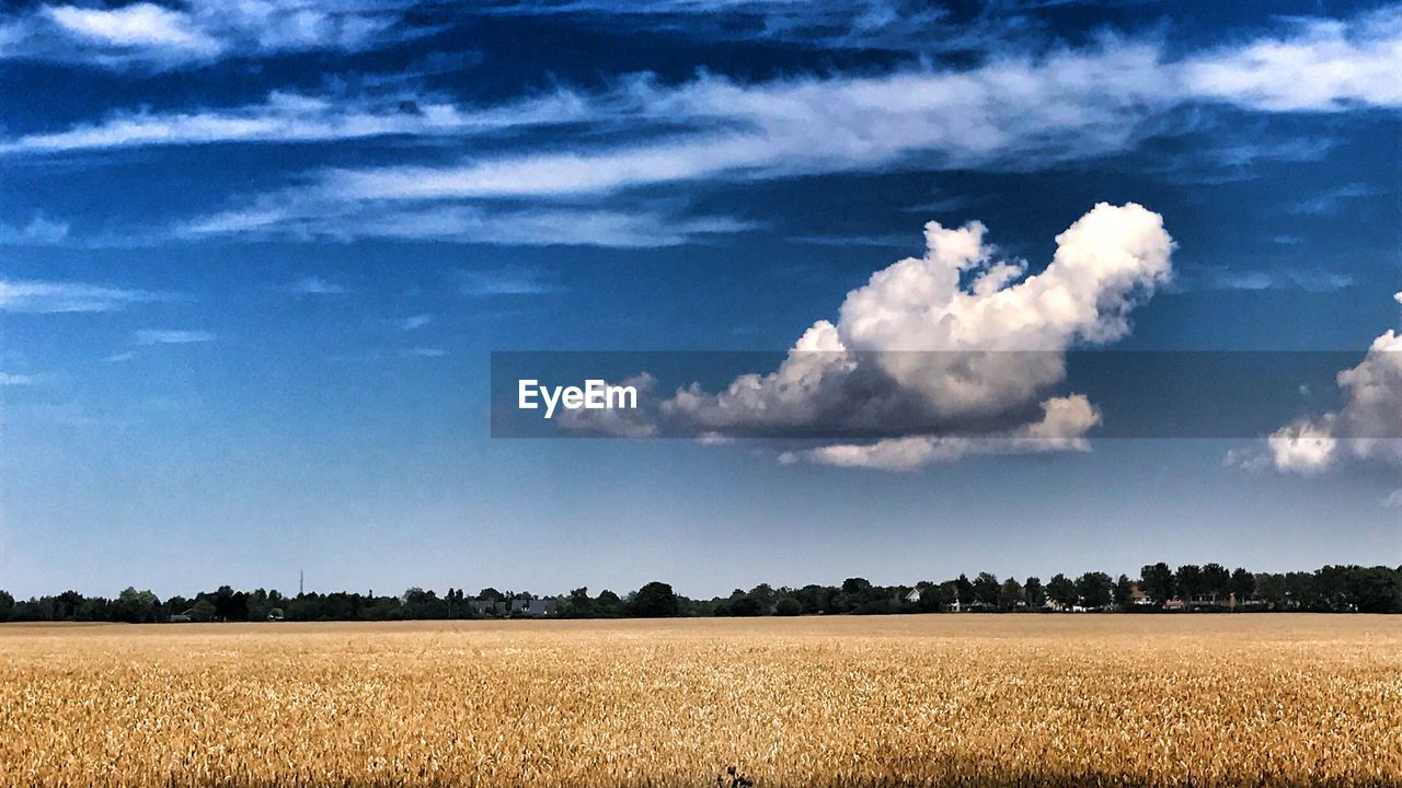 SCENIC VIEW OF FARM AGAINST SKY