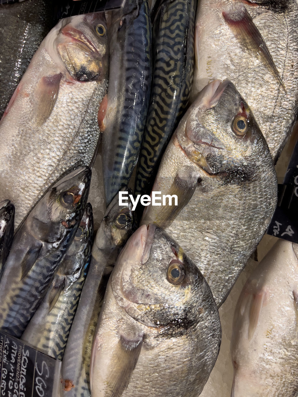 In the displays of a fishmonger lies a lot of fresh fish