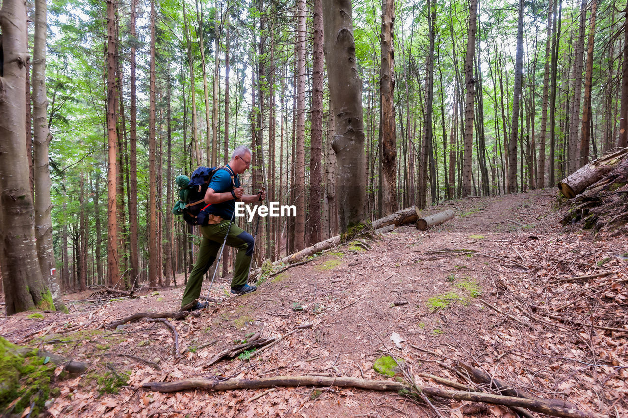 Side view of man hiking in forest